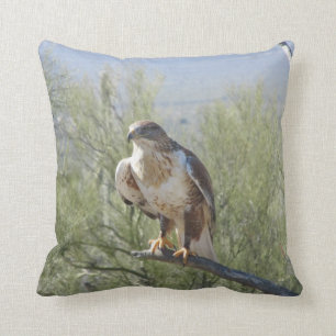 Coussin Faucon ferrugineux
