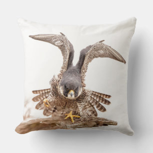 Coussin Faucon pèlerin