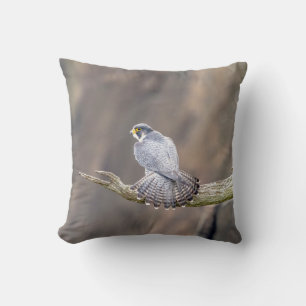 Coussin Faucon pèlerin au parc inter-États des Palisades