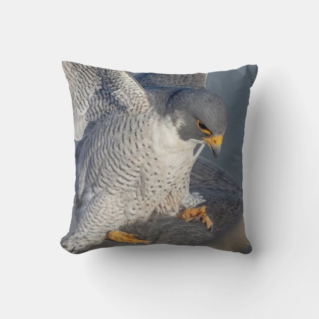 Coussin Faucon pèlerin le long de la rivière Hudson (Recto)