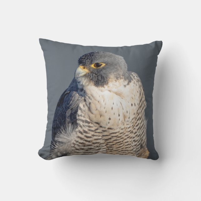 Coussin Faucon pèlerin le long de la rivière Hudson (Recto)