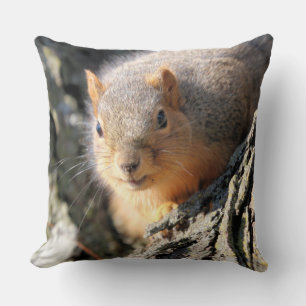Coussin Faux cul