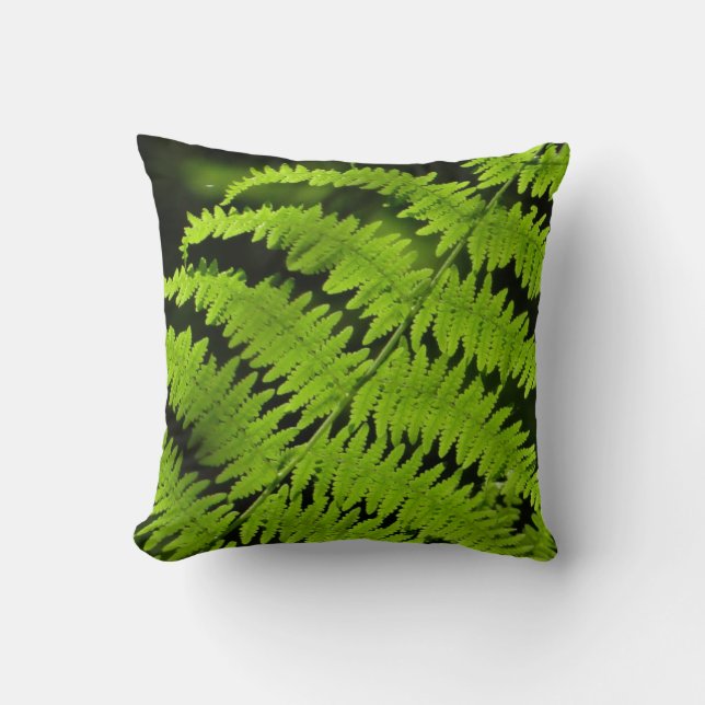 Coussin Ferme verte (Recto)