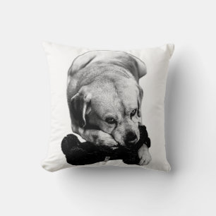 Coussin Fermer et contenu