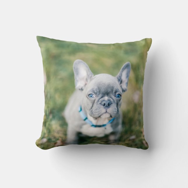 Coussin Fermeture d'un chien de taureau français (Recto)