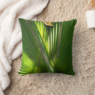 Coussin Fermeture photo de la scie Palmetto