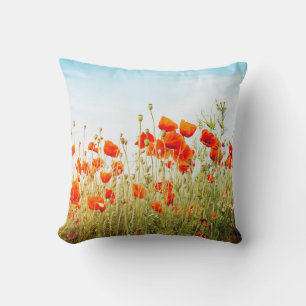Coussin Fermez les pavots sur le terrain. Fleurs sauvages