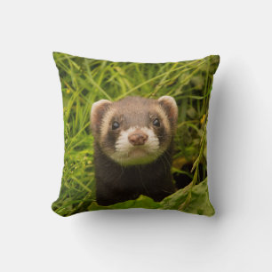 Coussin Ferret Brown dans l'herbe