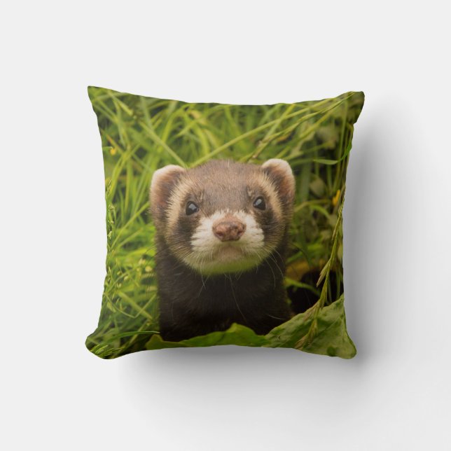 Coussin Ferret Brown dans l'herbe (Recto)