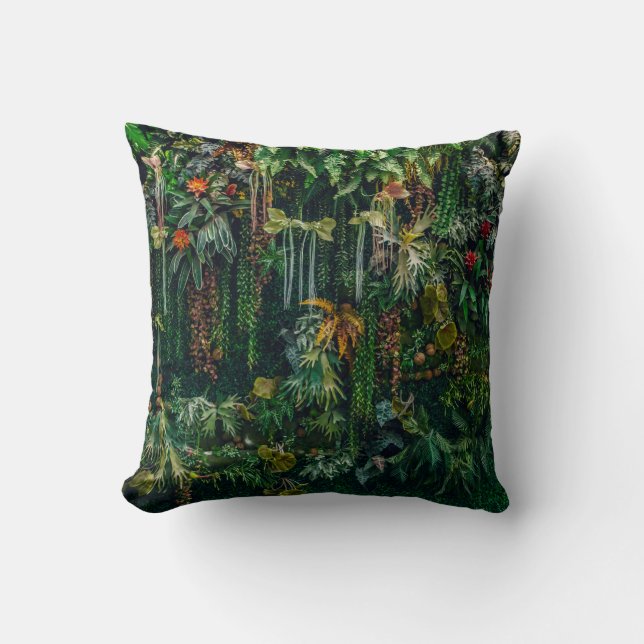 Coussin ferronnerie et plante décorent sur mur (Recto)