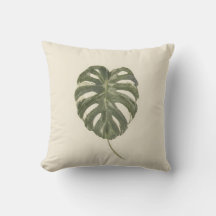 Feuille de Monstera panachée Tropical Organique Mo