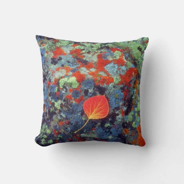 Coussin Feuille de tremble sur une roche couverte de liche (Recto)