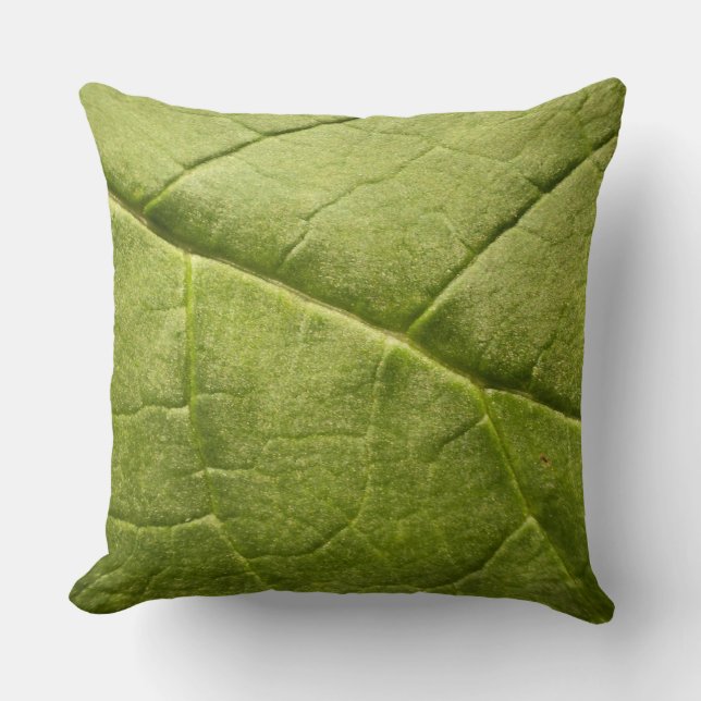 Coussin Feuille verte de Rhubarbe biologique (Recto)