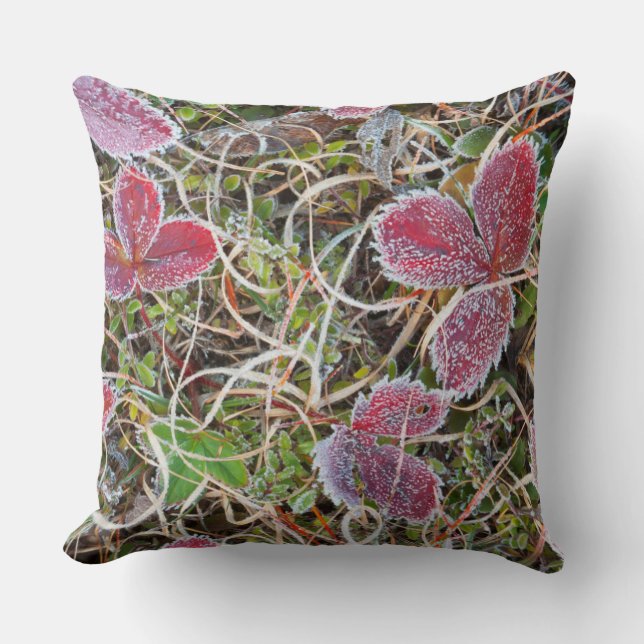 Coussin Feuilles couvertes de givre, Canada (Recto)