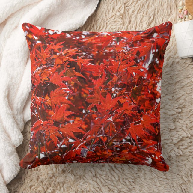Coussin Feuilles japonais de l'érable rouge (Couverture)