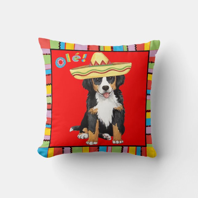 Coussin Fiesta Berner (Recto)