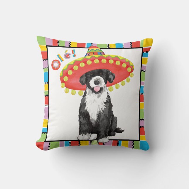 Coussin Fiesta PWD (Recto)