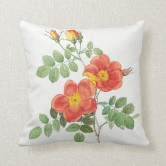 Coussin Fille Orange Rose Floral Botanique