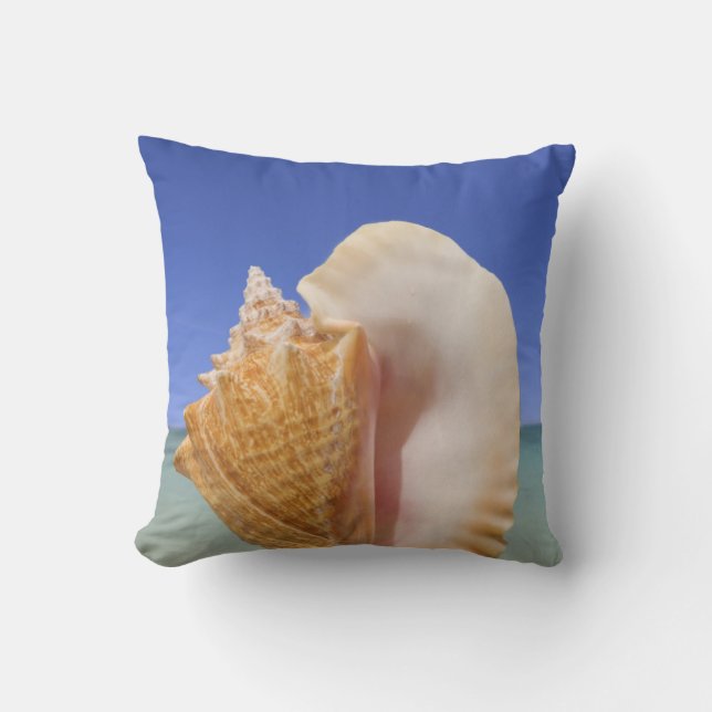 Coussin Fin de Shell de mer (Recto)