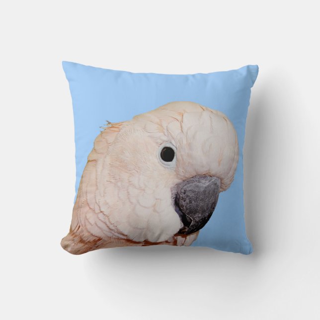 Coussin Fin moluquoise de perroquet vers le haut de (Recto)