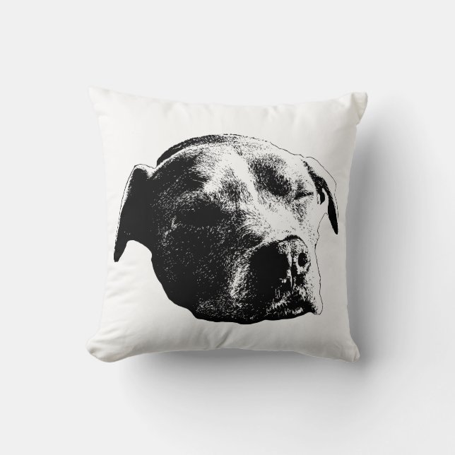 Coussin Fireside Daydream (Recto)