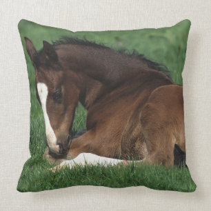 Coussin Fixation de poulain de Warmblood
