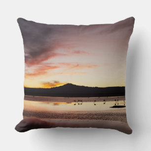 Coussin Flamant du Chili