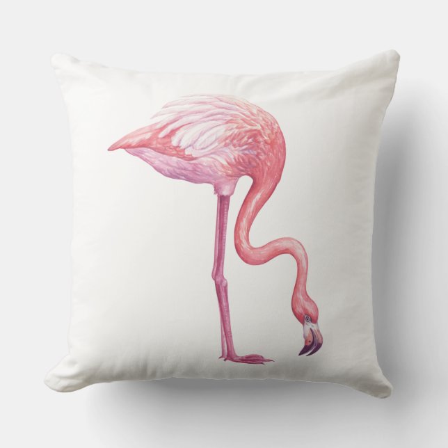 Coussin Flamant rose (Recto)