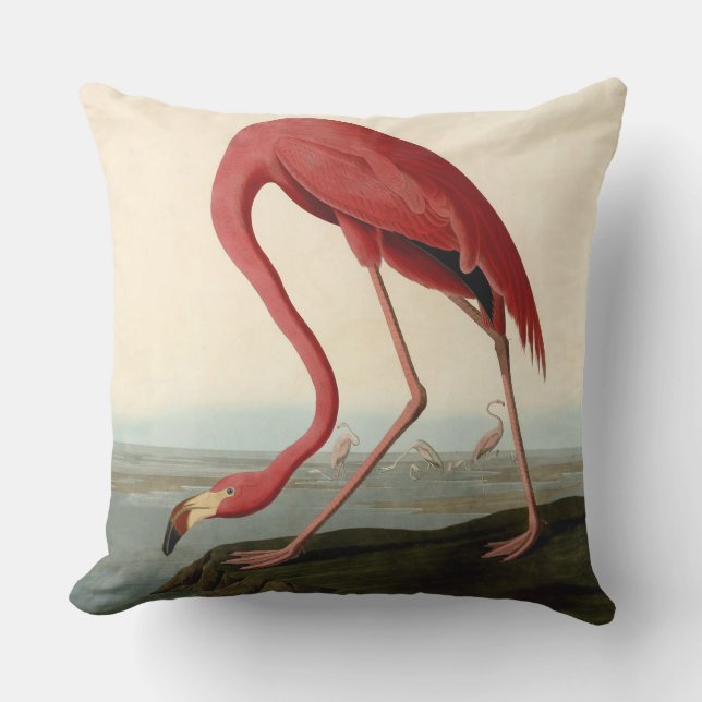 Coussin Flamant rose américain d'Audubon (Recto)