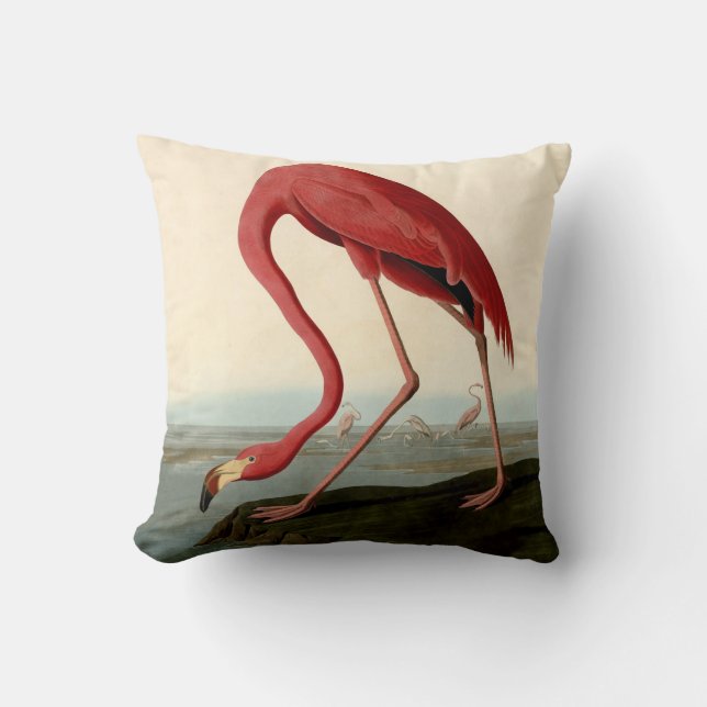 Coussin Flamant rose américain d'Audubon (Recto)
