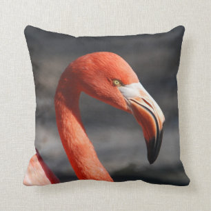 Coussin Flamant rose rose
