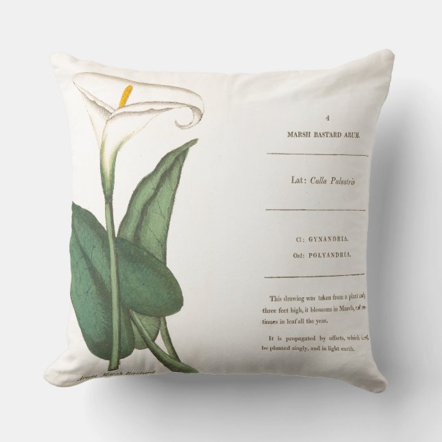 Coussin Fleur botanique de zantedeschia florale (Recto)
