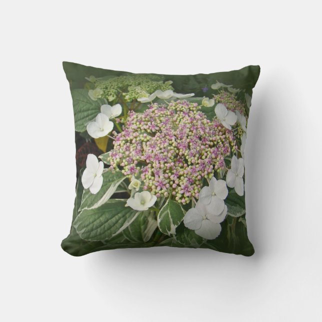 Coussin Fleur-Coussin blanc et rose d'hortensia de (Recto)