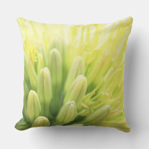 Coussin Fleur d'Agave d'Été Lumineuse