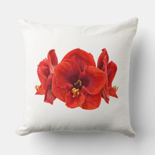 Coussin Fleur d'amaryllis cramoisie – Élégante floraison b