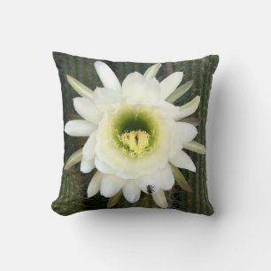 Coussin Fleur De Cactus De Nuit, Région De Karoo