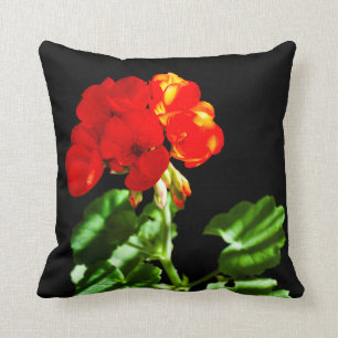 Coussin Fleur de géranium rouge