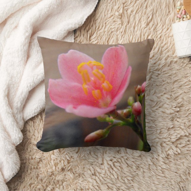 Coussin Fleur de Jatropha Rose Clair (Couverture)