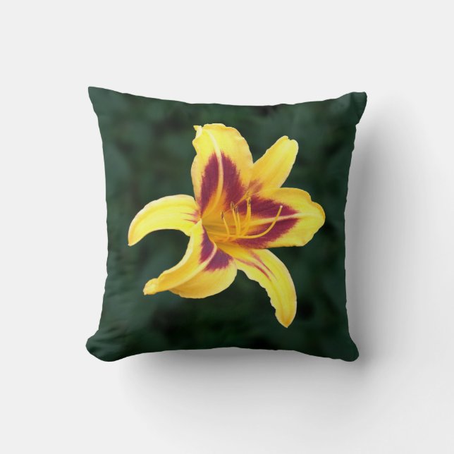 Coussin Fleur de jour jaune avec rouge, Hemerocallis : (Recto)
