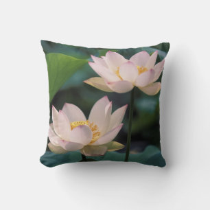 Coussin Fleur de Lotus en fleurs, Chine