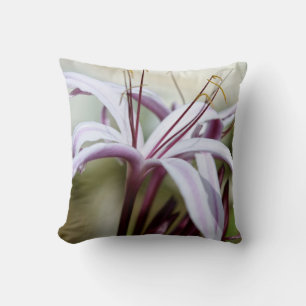 Coussin Fleur de lys rose pâle, art photo botanique