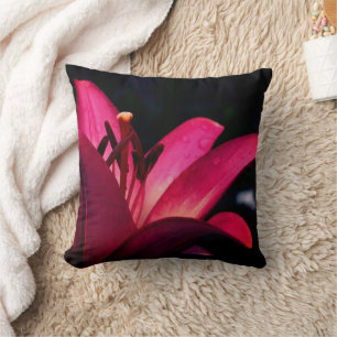 Coussin Fleur de lys rouge de près