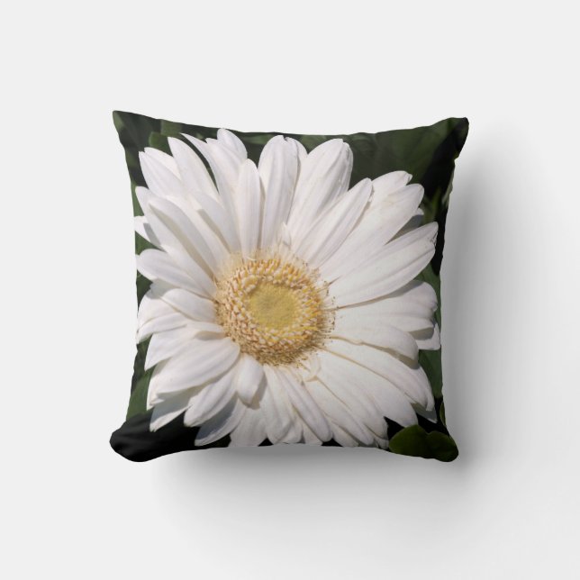 Coussin fleur de marguerite (Recto)