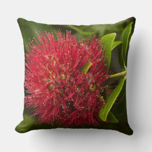 Coussin Fleur de Pohutukawa, Dunedin