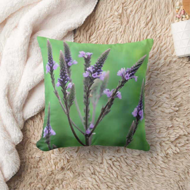 Coussin Fleur de verveine pourpre douce   (Couverture)
