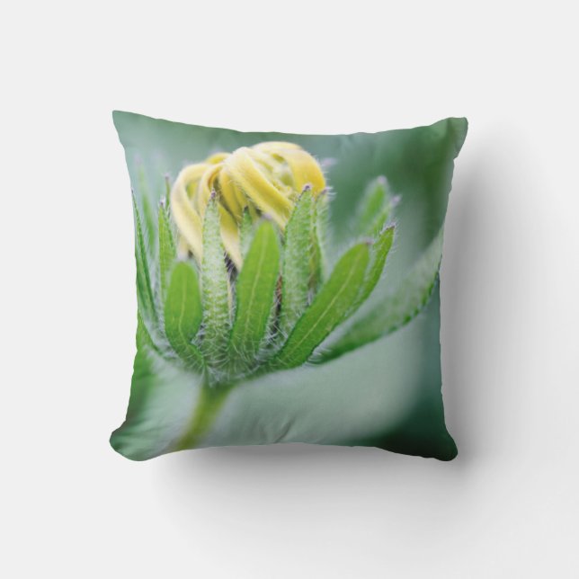 Coussin Fleur D'Ouverture De La Fleur De Cône (Recto)