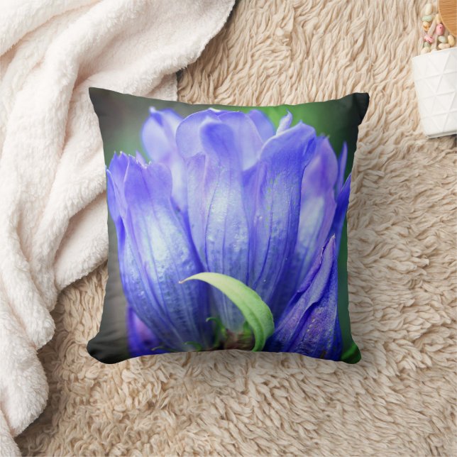 Coussin Fleur Gentienne Bleue (Couverture)