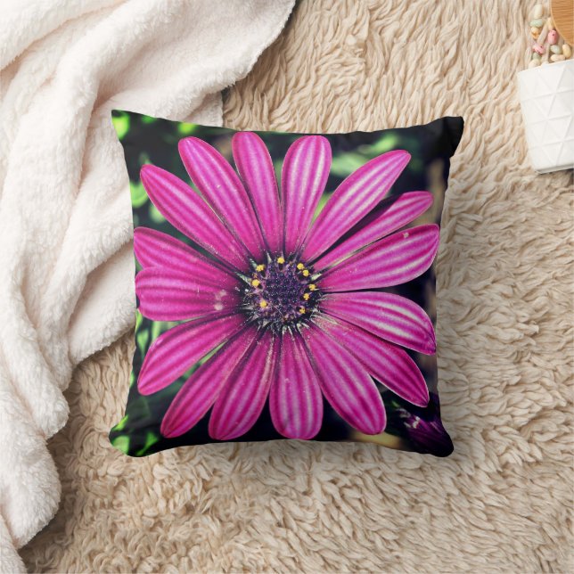 Coussin Fleur marguerite africaine violet simple (Couverture)