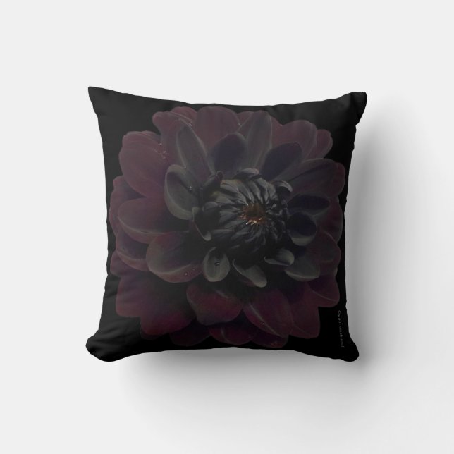 Coussin Fleur noire florale moderne de dahlia (Recto)