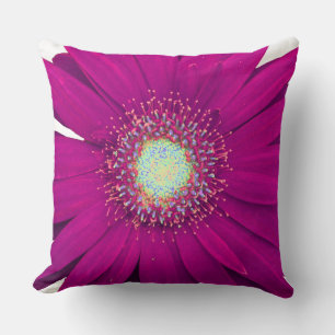 Coussin Fleur pourpre Gerbera Daisy